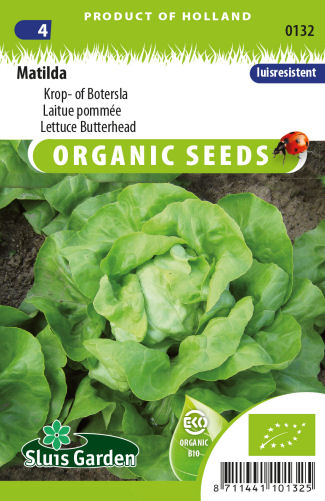 semena salat zeleniny kvetov bylinky sadit pestovat rajcin paprika uhoriek bazalka jahody